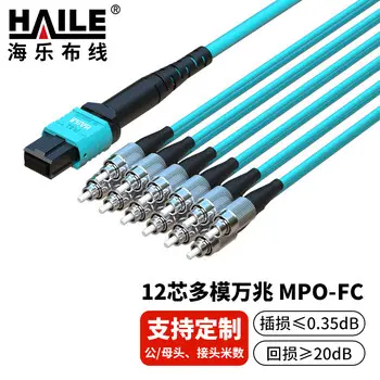 HAILE multimode 10G MPO-FC12-core 40G 10G / 100G 25G multimode 10G OM3 MPO breakout fiber 1 m MPO-MT12-FC-1M