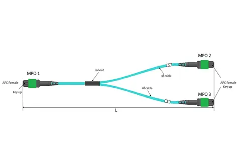OM4 MPO-12 / APC to 2x MPO-12 / APC Multimode 1:2 Splitter fiber Cable, for 400G OSFP SR4 and 800G OSFP SR8 optical transceiver, comparable to Nvidia MFP7E20-Nxxx