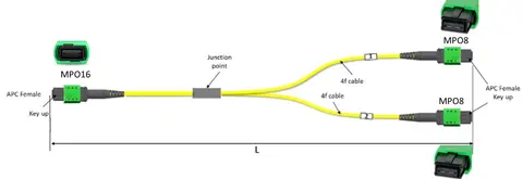 OM4 MPO-16/APC to 2x MPO-8/APC Multimode 1:2 Splitter fiber Cable