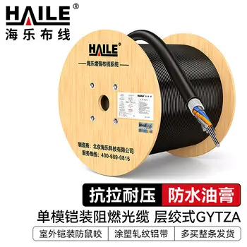HAILE armored 4-core single-mode outdoor flame-retardant optical cable stranded fiber cable GYTZA-4b1.3 1000 m HT211Z-4SC order in multiples pcs