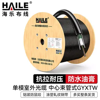 HAILE 12-core single-mode outdoor optical cable central loose-tube GYXTW-12b1.3 armored fiber 10 m HT210-12S order in multiples pcs