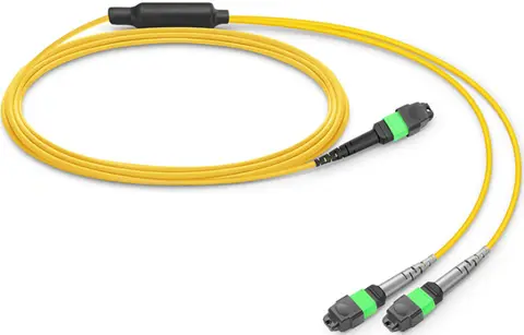 OS2 MPO-12 / APC to 2x MPO-12 / APC, Single mode 1:2 Splitter fiber Cable, for 400G OSFP DR4 or QSFP112 DR4, or 800G OSFP DR8 optical transceiver, comparable to Nvidia MFP7E40-Nxxx
