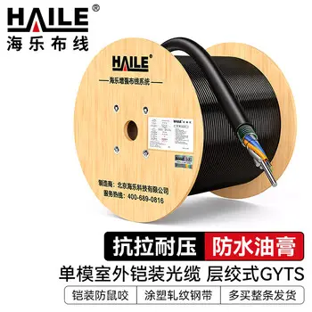 HAILE 4-core single-mode outdoor optical cable stranded GYTS-4b1.3 armored fiber 100 m HT210-4SC order in multiples pcs